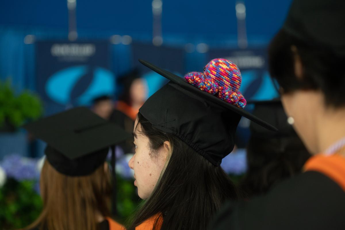 An Olin graduate's cap can be seen, with a knitted octopus atop it and the Olin College logo in background. An Olin graduate's cap can be seen, with a knitted octopus atop it and the Olin College logo in background.