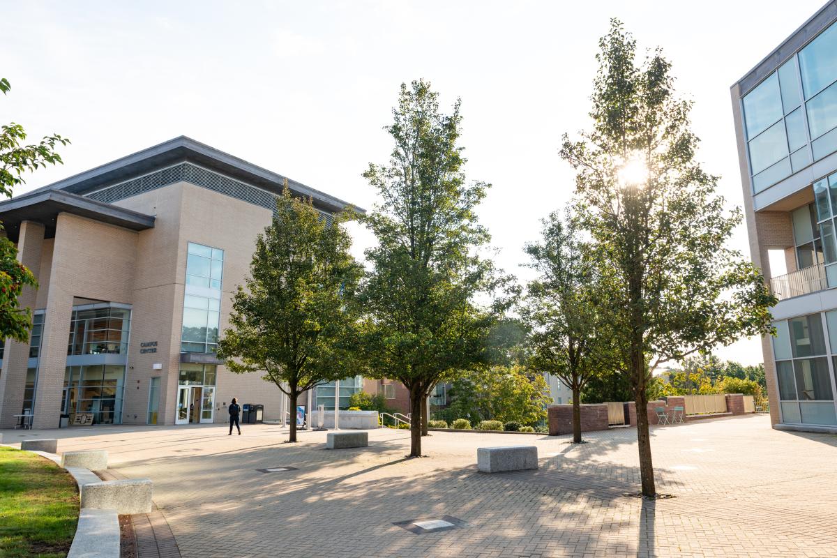 A photo of the sun shining on the Olin College campus.