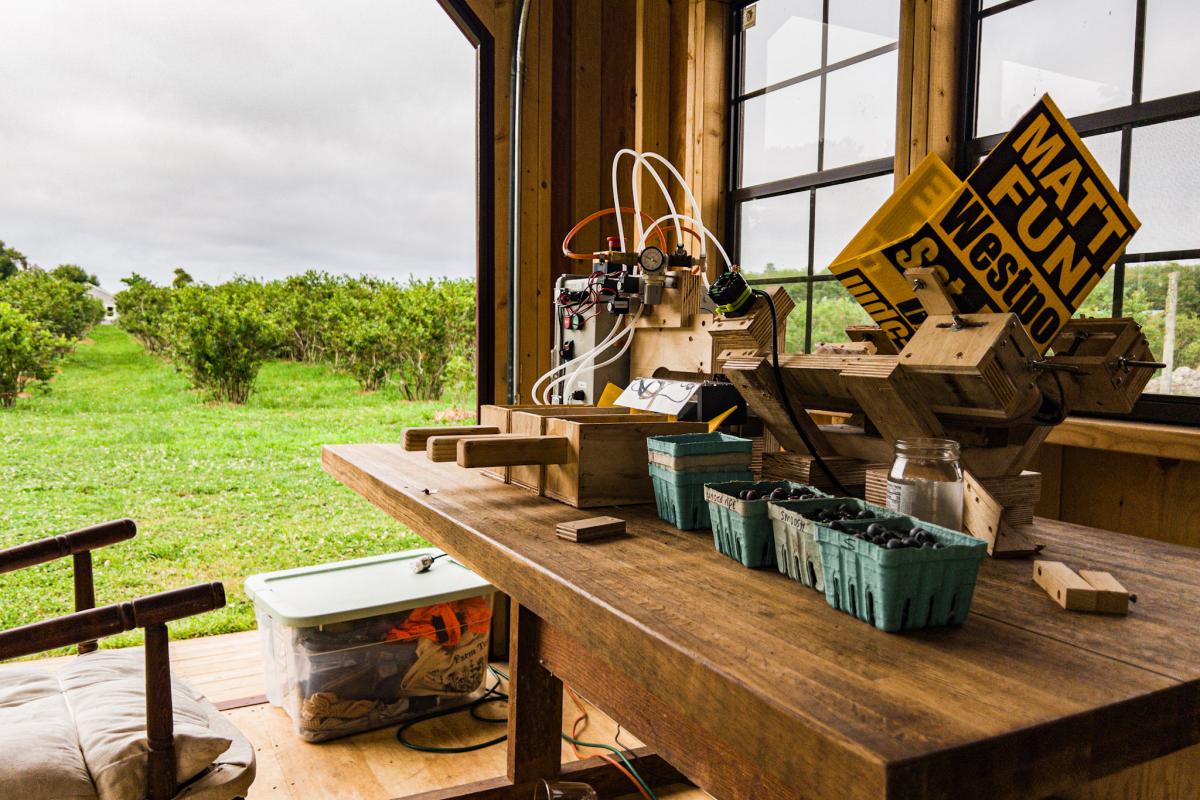 The Automated Fruit Sorting System sits on a brown table with green bushes in a field behind it. 