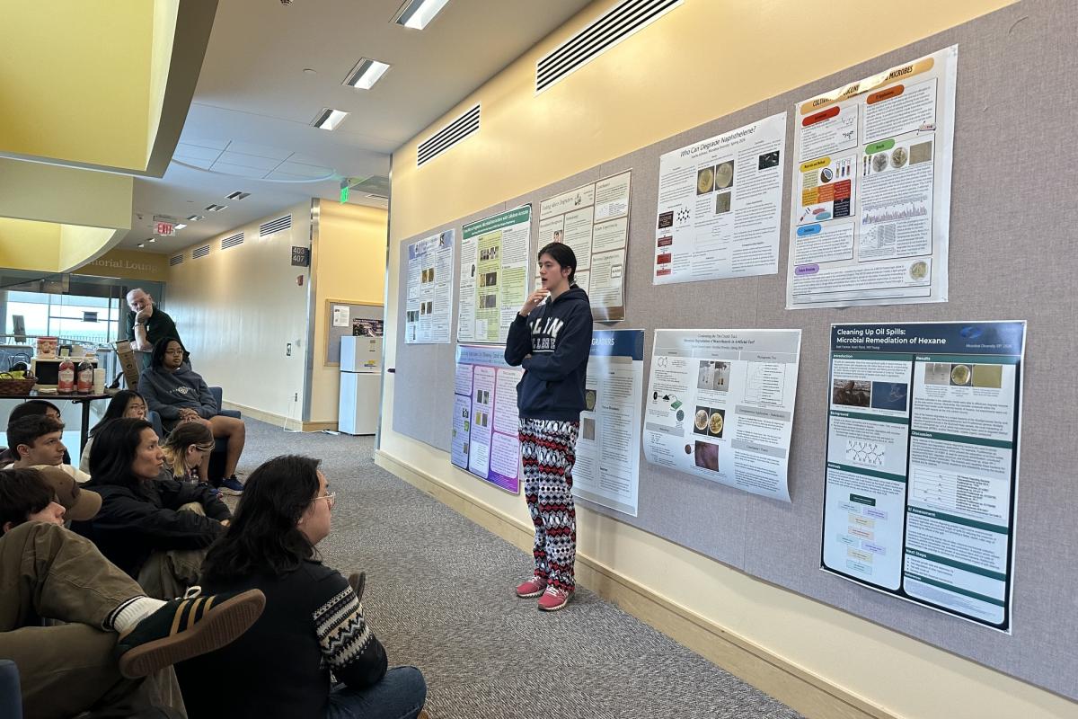 A Microbial Diversity student presents their research project to their classmates.