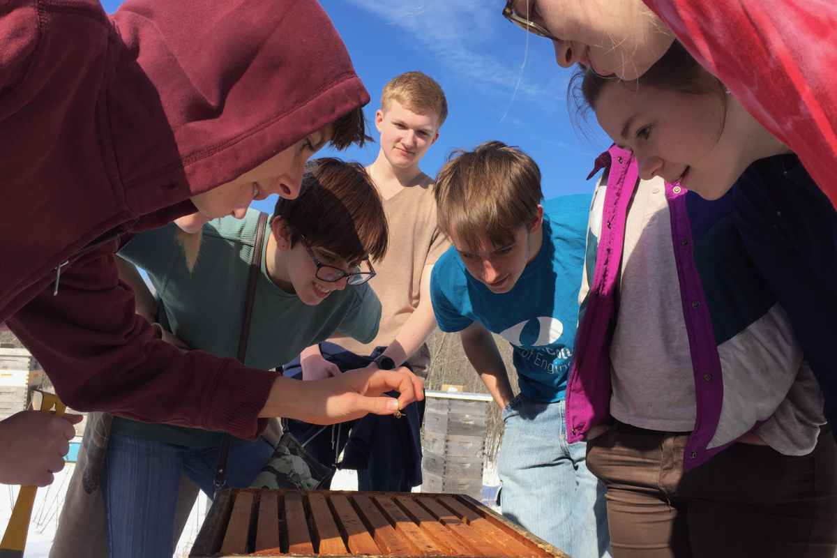 A group of Olin College students gather around a bee hive while participating in a Sustainable Beekeeping co-curricular.