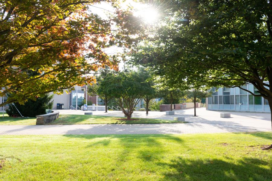 A sunny day on the Olin College campus The sun shines brightly over the Olin College campus