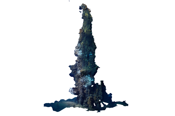 Scan of the Orthomosaic Spire 