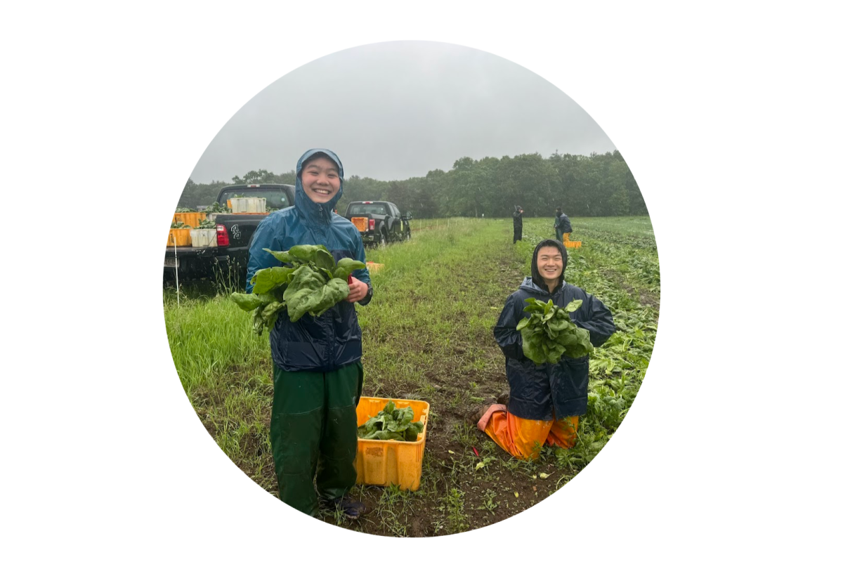 Arianne Fong '27, Eddy Pan '27 Students Arianne Fong '27 and Eddy Pan '27 on a crop field in rain gear, holding harvested leafy greens.