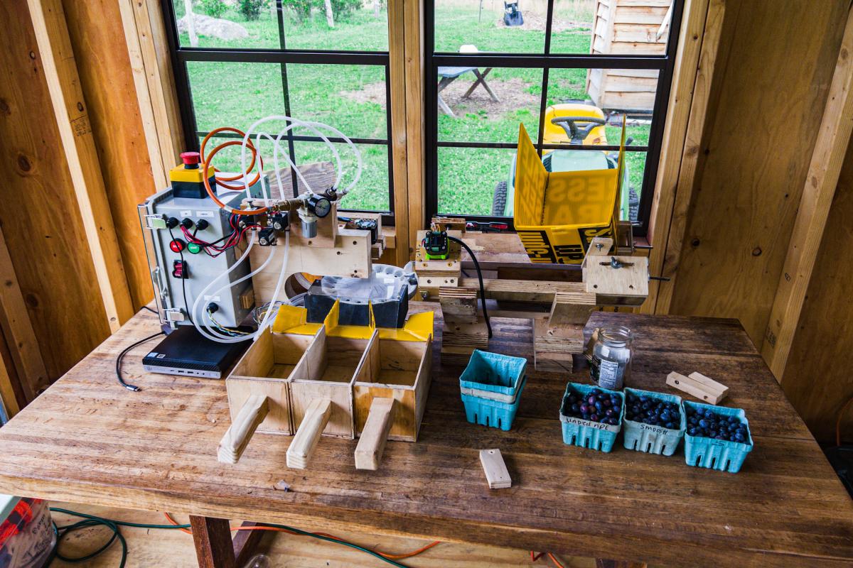 The automated fruit sorting system sits on a dark wood table with blueberries in teal containers to the right of the machine.