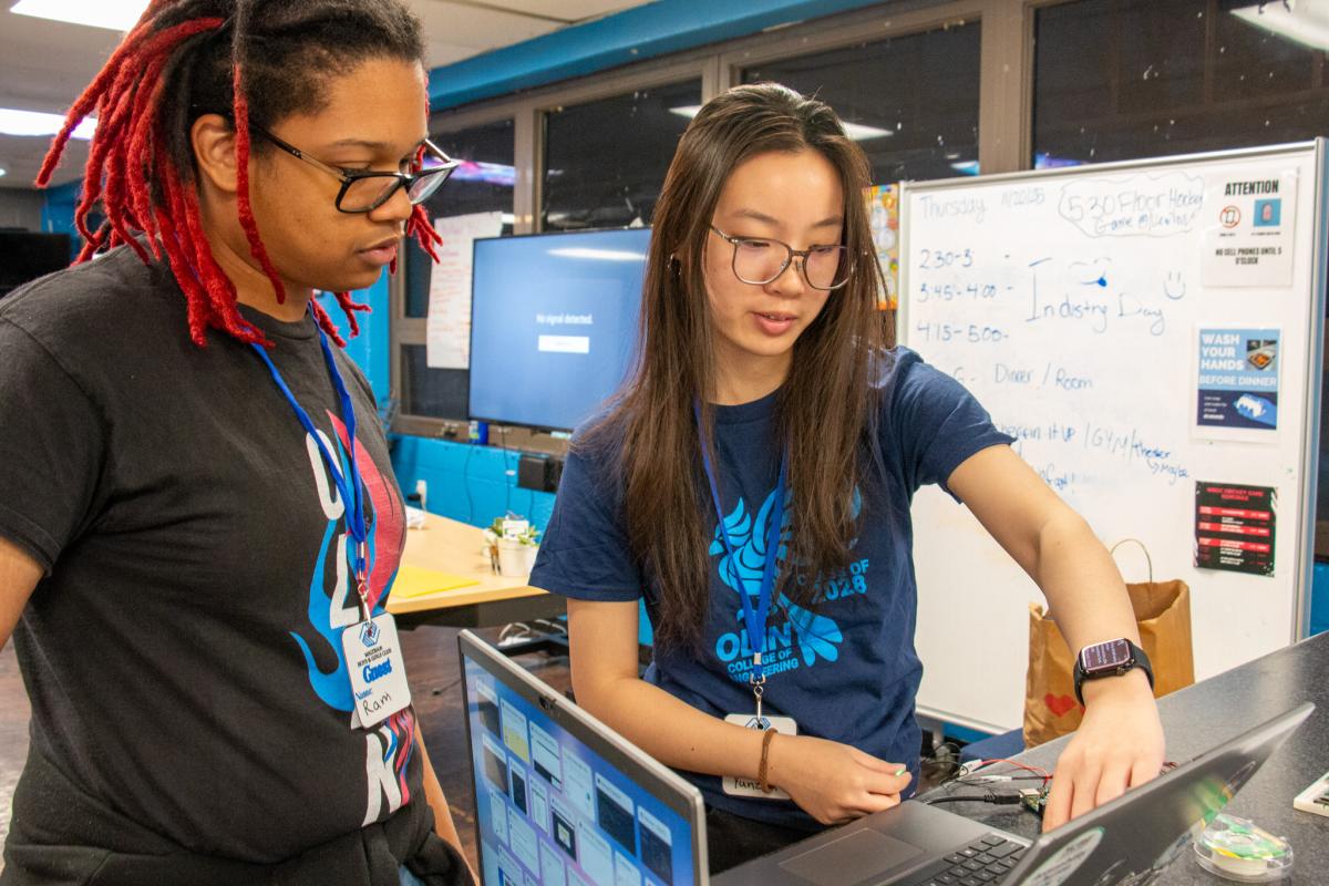 A photo of two IBI members working with a laptop.